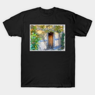 Intriguing Door T-Shirt